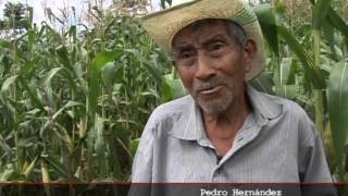 El Salvador  28 años después.