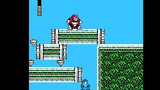 AtMM One-Shot - Megaman 3 - flowers & football tops
