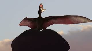Archaeopteryx, the Very First Bird
