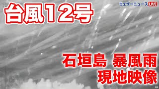 石垣島 現地映像・台風12号接近で雨風激しく