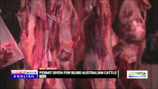 Trade Ministry Issues Permit to Import 50 Thousand Cattle