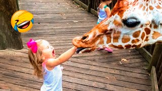 Funniest Animal Videos 2022 - Funny Cats And Dogs Videos ????