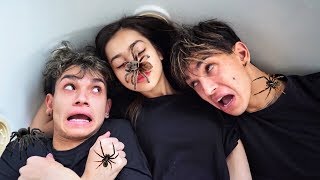 Last To Leave SCARY SPIDERS WINS $10,000!