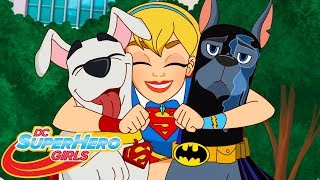 Gone To The Dogs Part 1 | 407 | DC Super Hero Girls