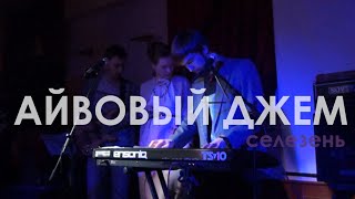 Айвовый джем - Селезень (Live)