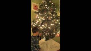 Cokas Christmas Tree '08