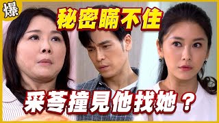 《黃金爆爆爆》黃金歲月 EP75 秘密瞞不住 采苓撞見他找她？