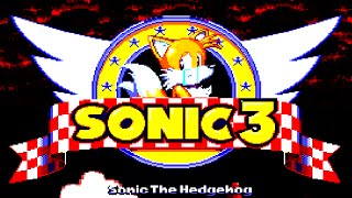 Sonic3.exe | The Real Death Of Sonic?!