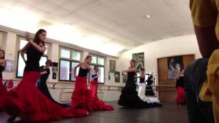 Bata de cola - Flamenco