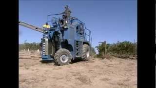 MAQUINA PARA VIÑEDO-OXBO-WORLDWIDE MACHINERY AND LOGISTICS,INC