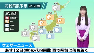 あす12日(金)の花粉飛散 雨で飛散は落ち着く