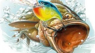 atom fishing #03 Уровни, разряды, скоро стремительный подъем