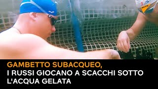 Gambetto subacqueo, i russi giocano a scacchi sotto l'acqua gelata