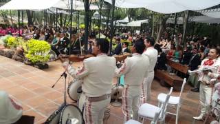 Mariachi en Cuernavaca