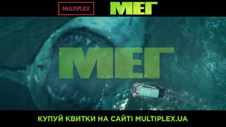 МЕГ у Multiplex