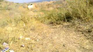 Online Web-Камера из Одессы / Online Web-Camera from Odessa
