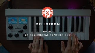 Mellotron Micro | Synthesizer | Vintage King