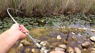 These Fish are STRONGER than I Thought (Everglades Bank Fishing)