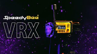 Новинка для "динозавров". Аналог жив! [SpeedyBee Goggles Receiver]