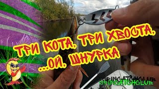 Рыбалка на щуку / Шнурки озверели / Тест новых приманок