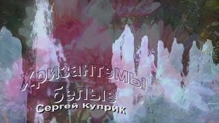 Сергей Куприк - Хризантемы белые