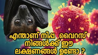 ആളെ കൊല്ലുന്ന പനി. എന്താണ് നിപ വൈറസ് ? നിങ്ങൾക്ക് ഈ ലക്ഷണങ്ങൾ ഉണ്ടോ ? Nipah Virus