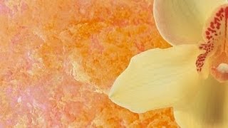 Венецианская штукатурка ДЕКОРАТИВНАЯ ФРЕСКА МАРОККАНСКАЯ мастер классы DECORATIVE PLASTER Урок 4