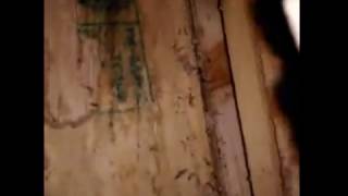 欣立除蟲特攻隊讓你在最短的時間就能和白蟻說Bye Bye【 白蟻防治清除白蟻窩巢】