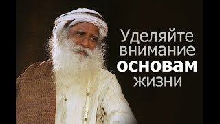 Уделяйте внимание основам жизни — Садхгуру