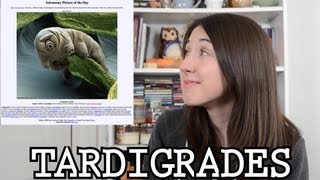 Tardigrades and Bonus Leeuwenhoek: Bite Sci-zed