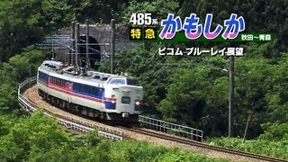 485系　特急かもしか