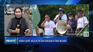 Harga Sawit Anjlok, Petani Geruduk Istana Negara