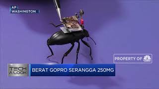 Wah! Ada Gopro Sekecil Serangga