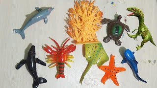 Морские животные игрушки и крокодил динозавры Sea animals toys crocodile dinosaur