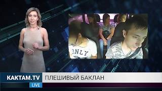КАКТАМ? Космонавты не дрочат #54