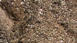 สูตรอาหารข้นสำหรับวัวขุุน