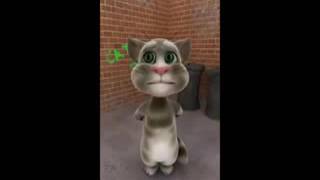 Talking Tom Funny Videos In Hindi,Urdu,Punjabi 2 YouTube Video Dailymotion