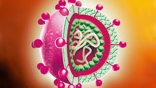 Virus hepatitləri | Вирусные гепатиты - Инфекционные болезни