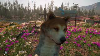 Прохождение Far Cry New Dawn — Часть 9: ВОЗВРАЩЕНИЕ ДЖЕРОМА.