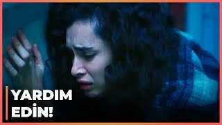 Kerem ve Barış, Zeynep'i Bulmaya Çalışıyor - Güneşi Beklerken 22. Bölüm