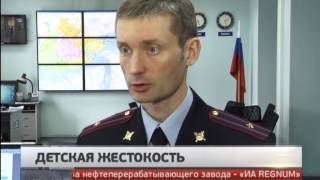 Расследование жестокого убийства собаки в Хабаровске. Новости. GuberniaTV.