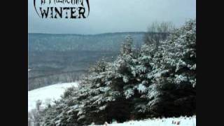 Appalachian Winter - Deep Within The Mountain Forest