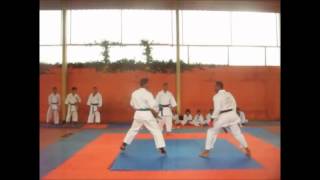 CED 11 karate