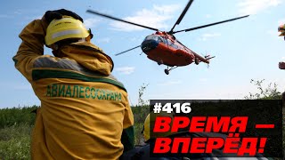 Началась операция по спасению русского леса. Разбираем суть