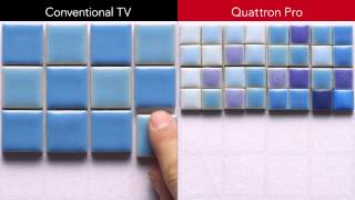 Quattron Pro "More Details,More Colors" Short Version