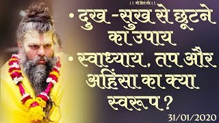 दुख-सुख से छूटने का उपाय / स्वाध्याय, तप और अहिंसा का क्या स्वरूप ? // 31/01/20