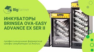Инкубаторы Brinsea Ova-Easy Advance EX ser II профессиональные