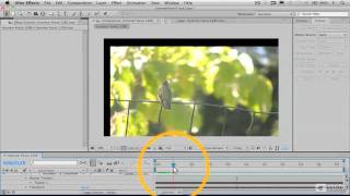 After Effects CS5 201: Motion Tracking and Stabilization - 5. Stabilizing The Layer