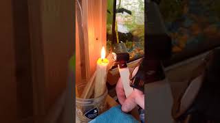 Ультразвуковой отпугиватель, сравнение