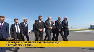 Лукашенко в Гомельской области: строительство жилья для многодетных семей, уборочная